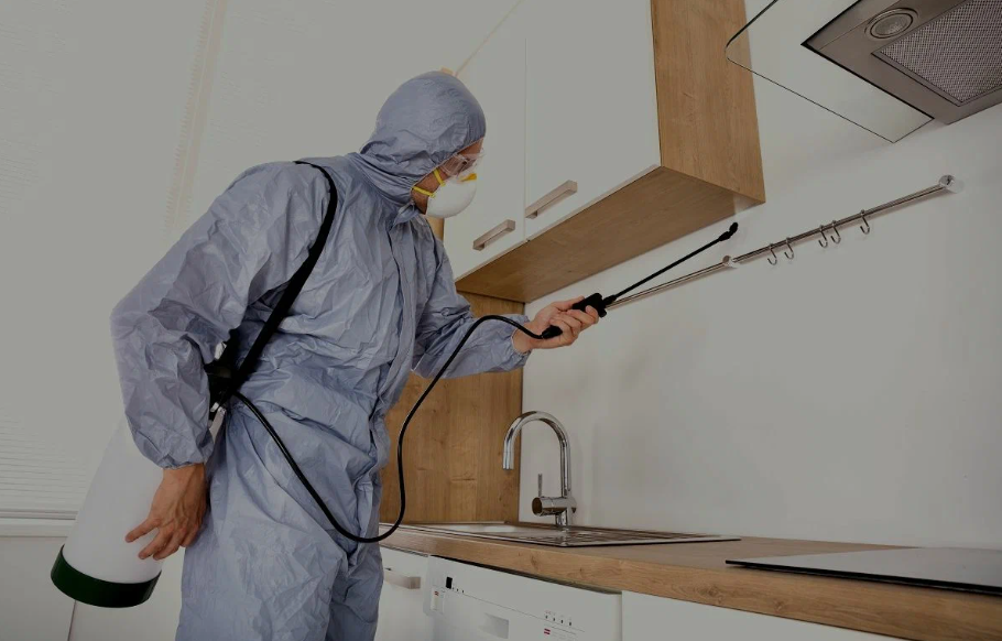 Delano pest managment